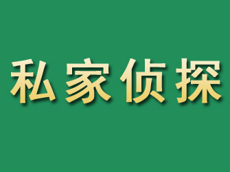 天全市私家正规侦探